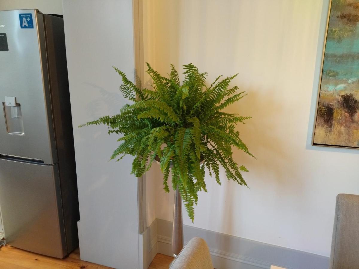 פורטו Lusitania Garden Apartment - Jardim Privado מראה חיצוני תמונה